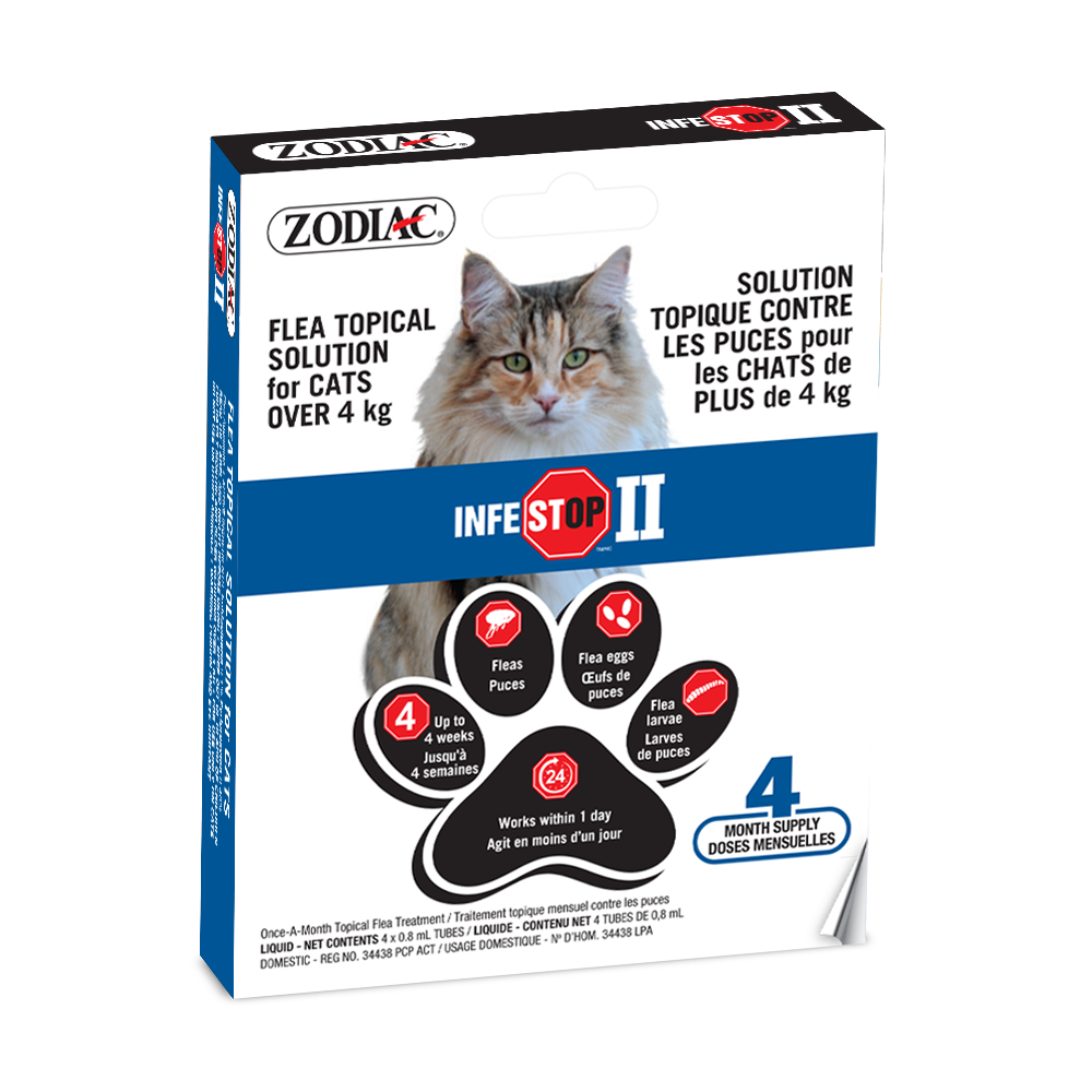 Zodiac Infestop II Flea Topical Solution for Cats OVER 4kg_FRONT NO BG
